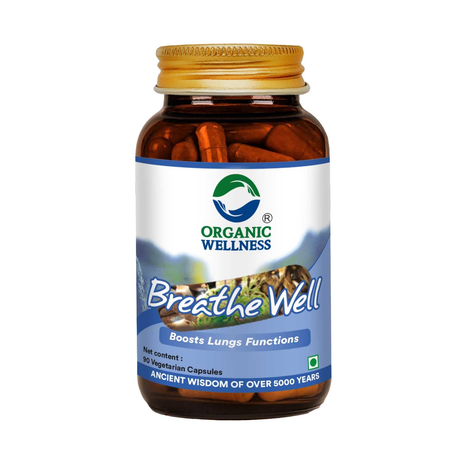 Organic Wellness Breath Well Ayurvedic Remedy Medicine For Cough, Cold And Sore Throat | For Respiratory Related Issues | For Help Any Breathing Problems & Improve Health (90 N Veg Capsules) (B07XSG2M31) Amazon Price History, Amazon Price Tracker