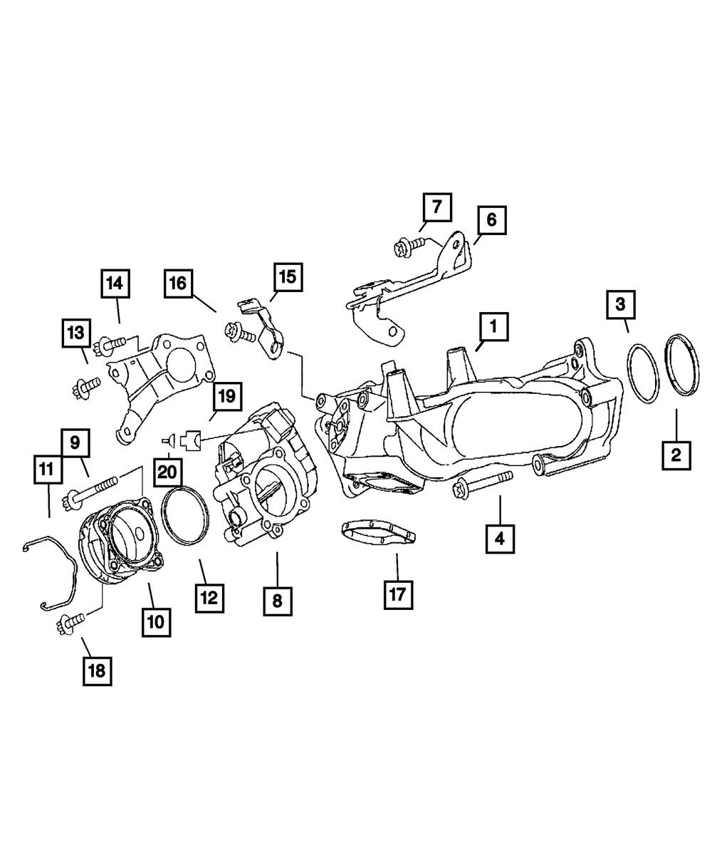 Amazon.com: Mopar Performance 5175710AA MOPAR O Ring