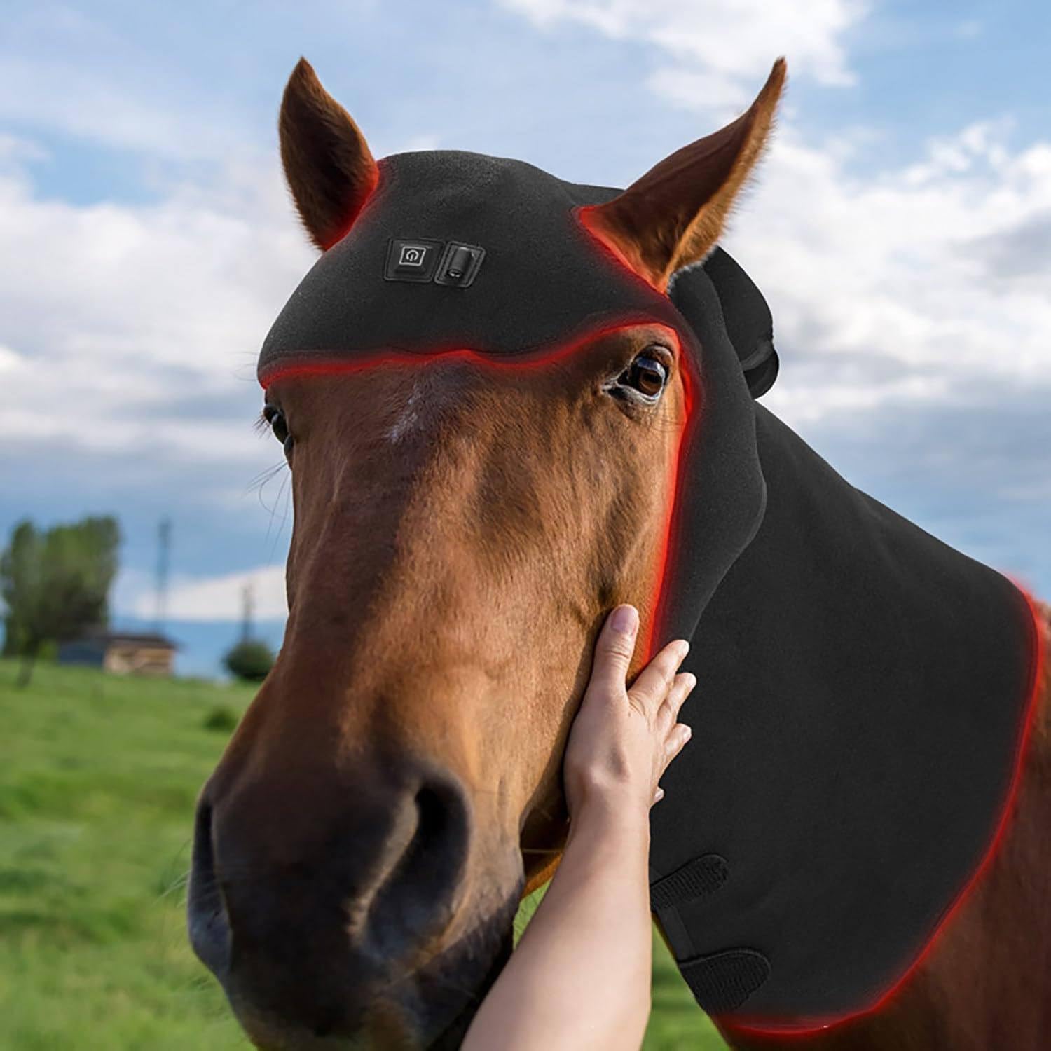 Attrezzatura per La Terapia della Luce Rossa del Cavallo, per Il Rilassamento della Testa E del Collo del Cavallo, con 234 Perline per Lampade a LED, Lunghezza D'onda 660nm E 850nm