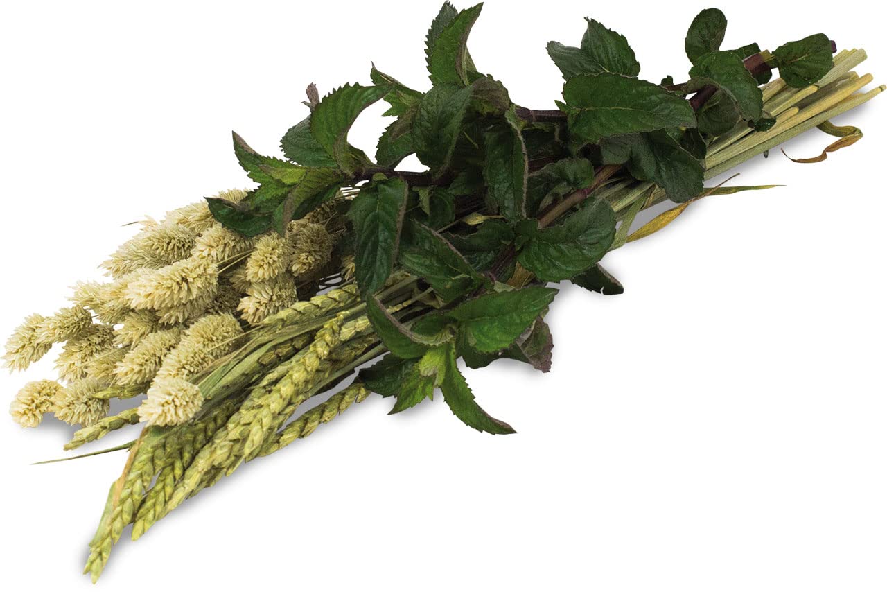 JR FARM ESN zbiory ziół 80 g