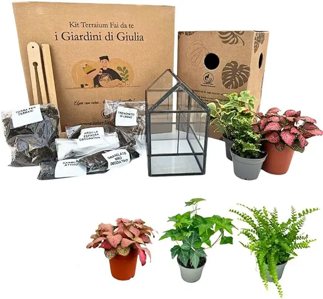 Kit Terrario Fai-da-Te I Giardini di Giulia - Vetro e Ferro con 3 Piantine