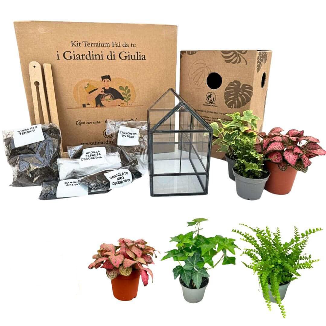 Kit Terrarium Fai-da-Te | Vetro e Ferro Robusto | Include 3 Piantine e Decorazioni | Terrario per Piante in Vetro | Dimensioni Compatte, Nero e Trasparente