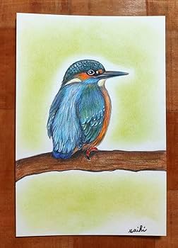 カワカミ Amazon | 野鳥カワセミ色鉛筆画ハガキサイズ | 色鉛筆 | 文房具