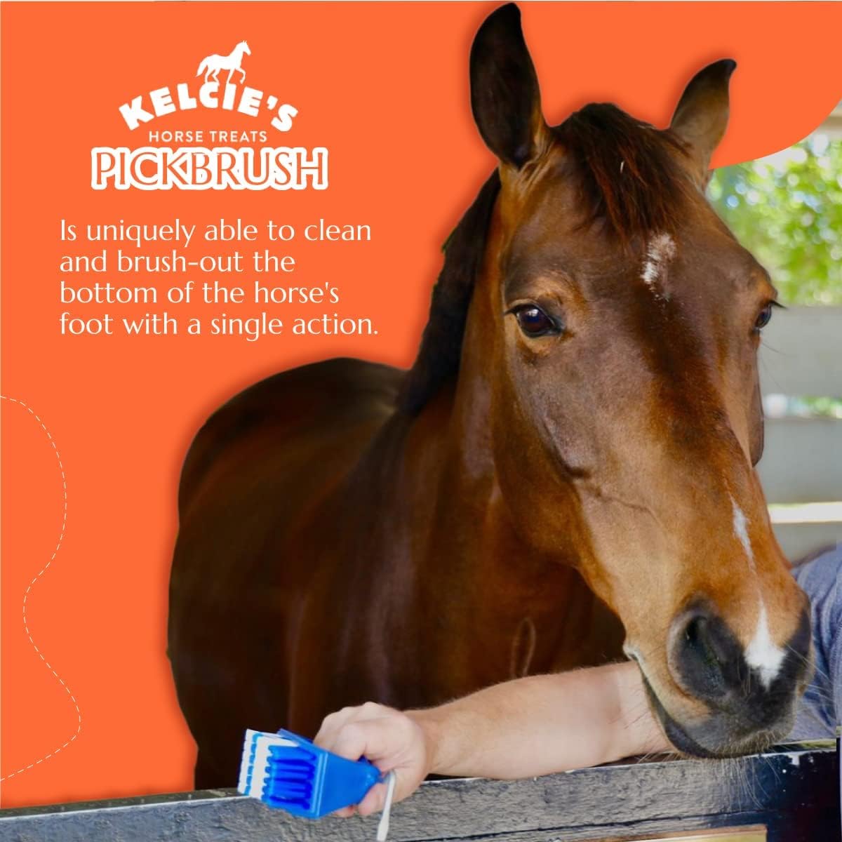 Kelcie's Pick Brush Cleaning Tool - Easy To Use Slip-Proof Grooming Brush For Horses With Great Grip - image 8
