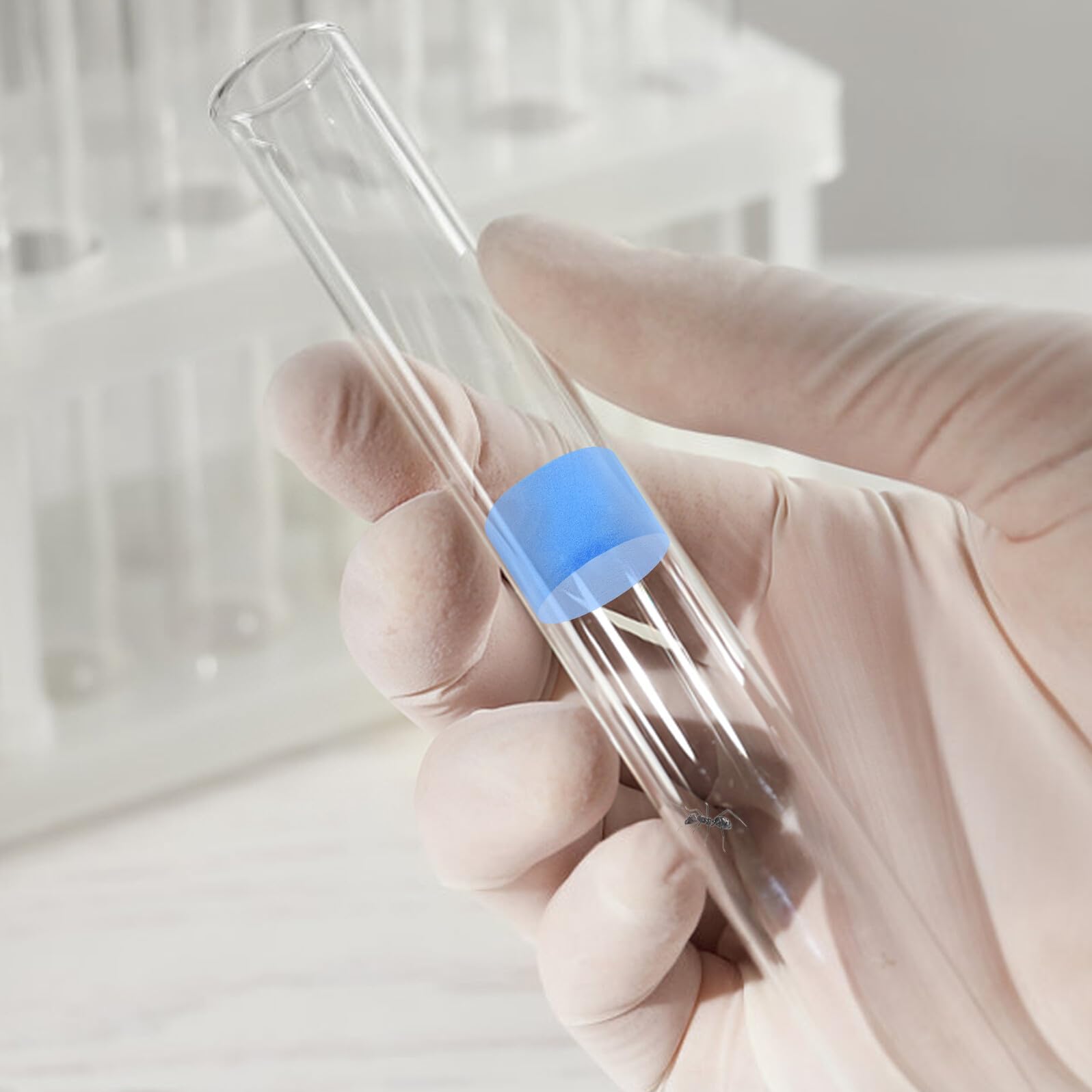 5 Esponjas de Espuma Azules para Tubos de Laboratorio, Suministros para Nidos de Insectos Ambiente Cómodo y Fácil de Usar en Aprendizaje Naturaleza