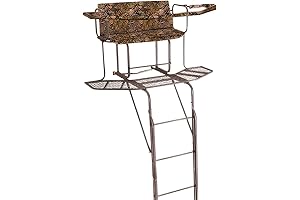 Guide Gear 20' 2-Man Ladder Tree Stand with Hunting Blind