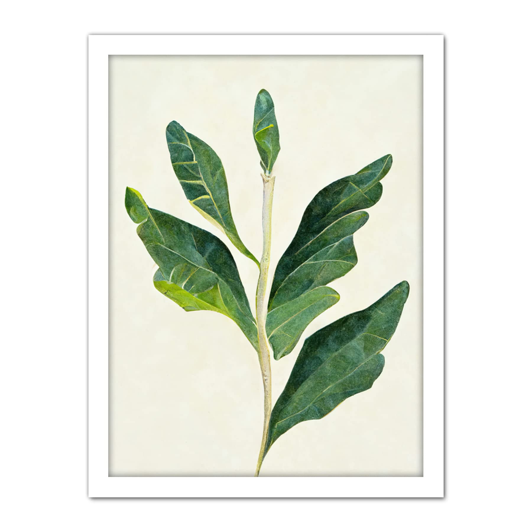 Doppelganger33 LTD Detail Of Rubber Fig Plant Botanical Illustration Artwork Framed Wall Art Print 18X24 Inch