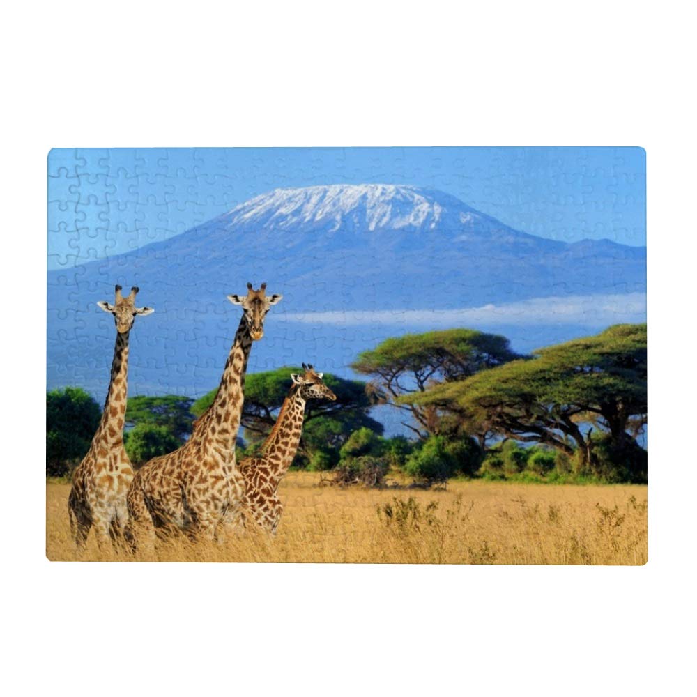 MyDaily1000 Pieces Jigsaw Puzzles for Adults - Giraffe Kilimanjaro Mount Africa, Kids Puzzle Game
