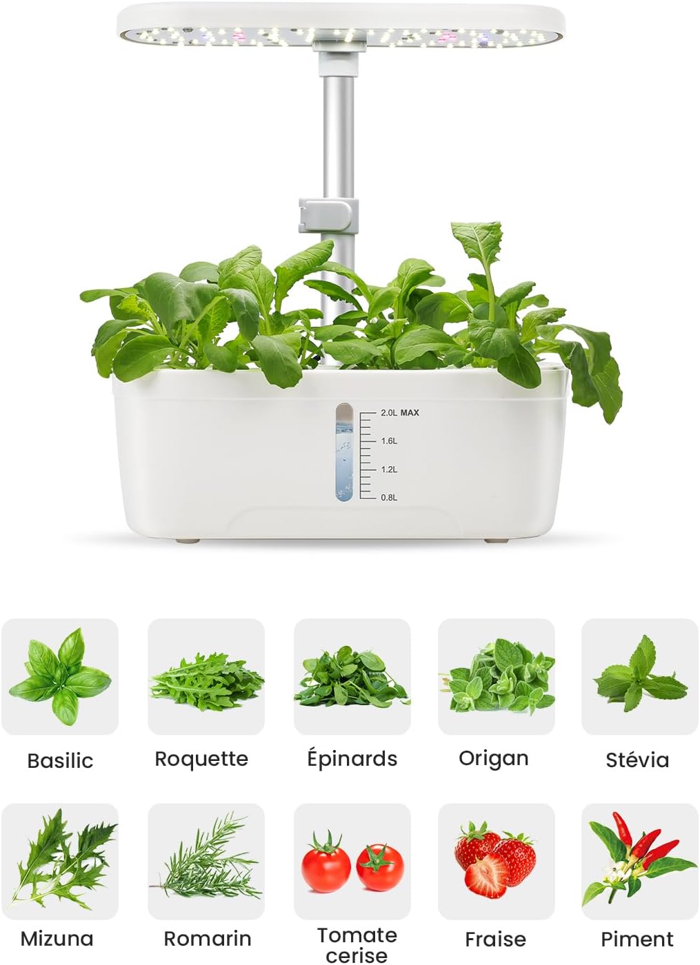 GOLUMUP Hydroponisches Anzuchtsystem Smart Garden