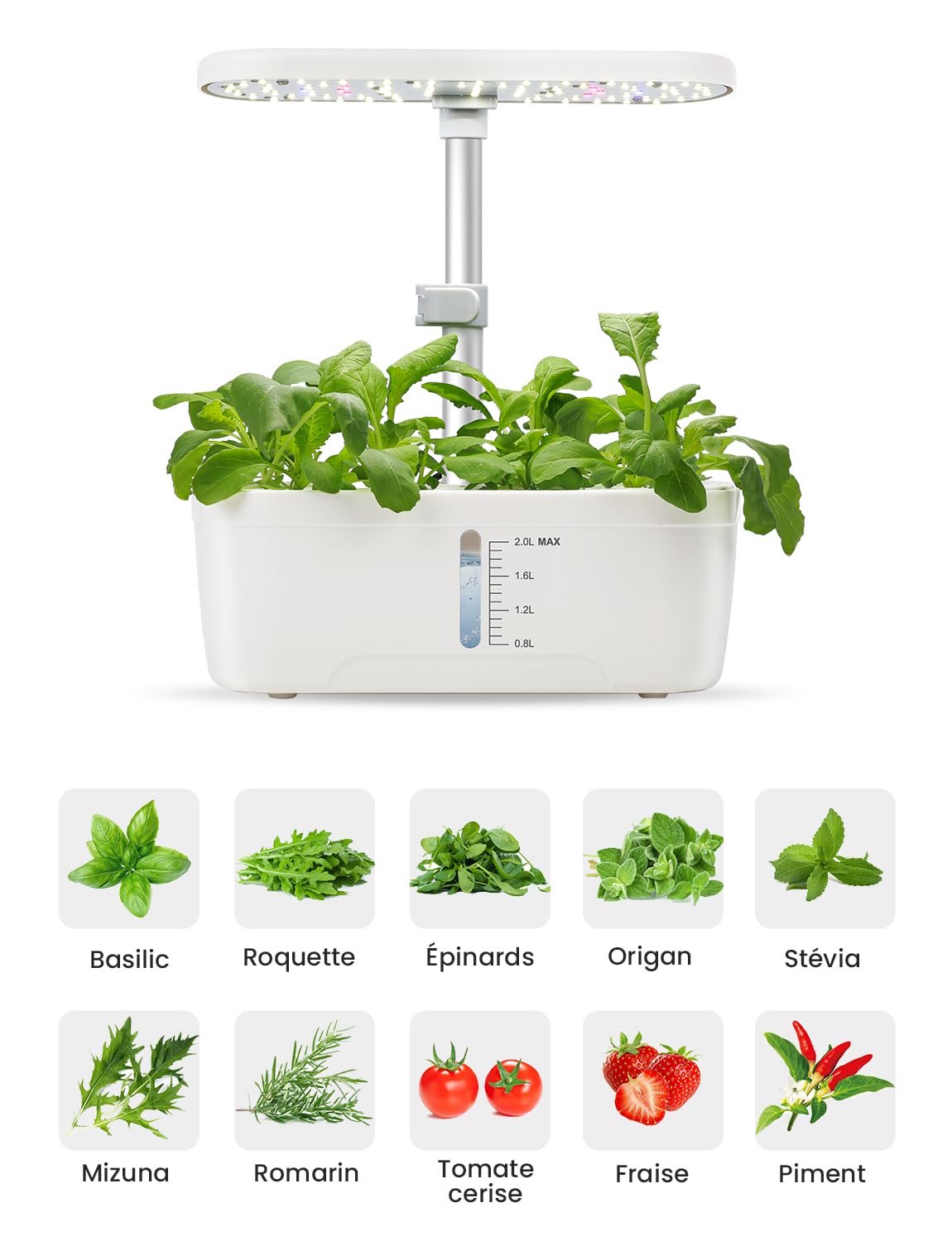 Potager d'intérieur Hydroponique 6 Pots, Smart Garden 15W LED, Hauteur Réglable 13-27 cm