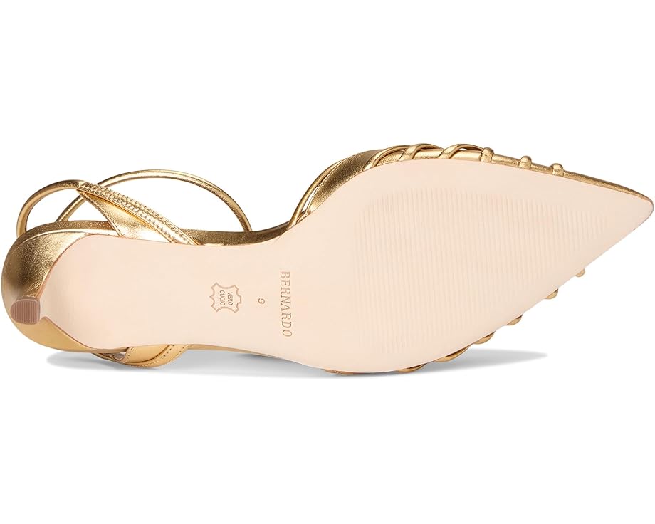 Bernardo Minu - Bottom View