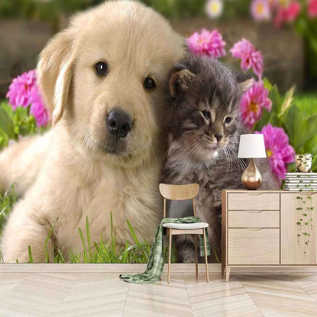 Papier Peint Chien et Chat mural autocollant 3D décoration salon chambre 300x210