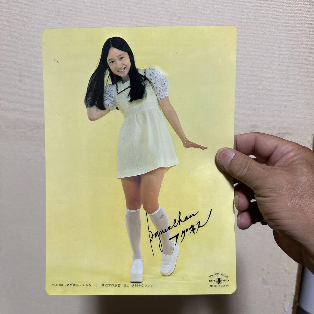 Amazon.co.jp: レトロ アイドル 下敷き アグネスチャン : おもちゃ