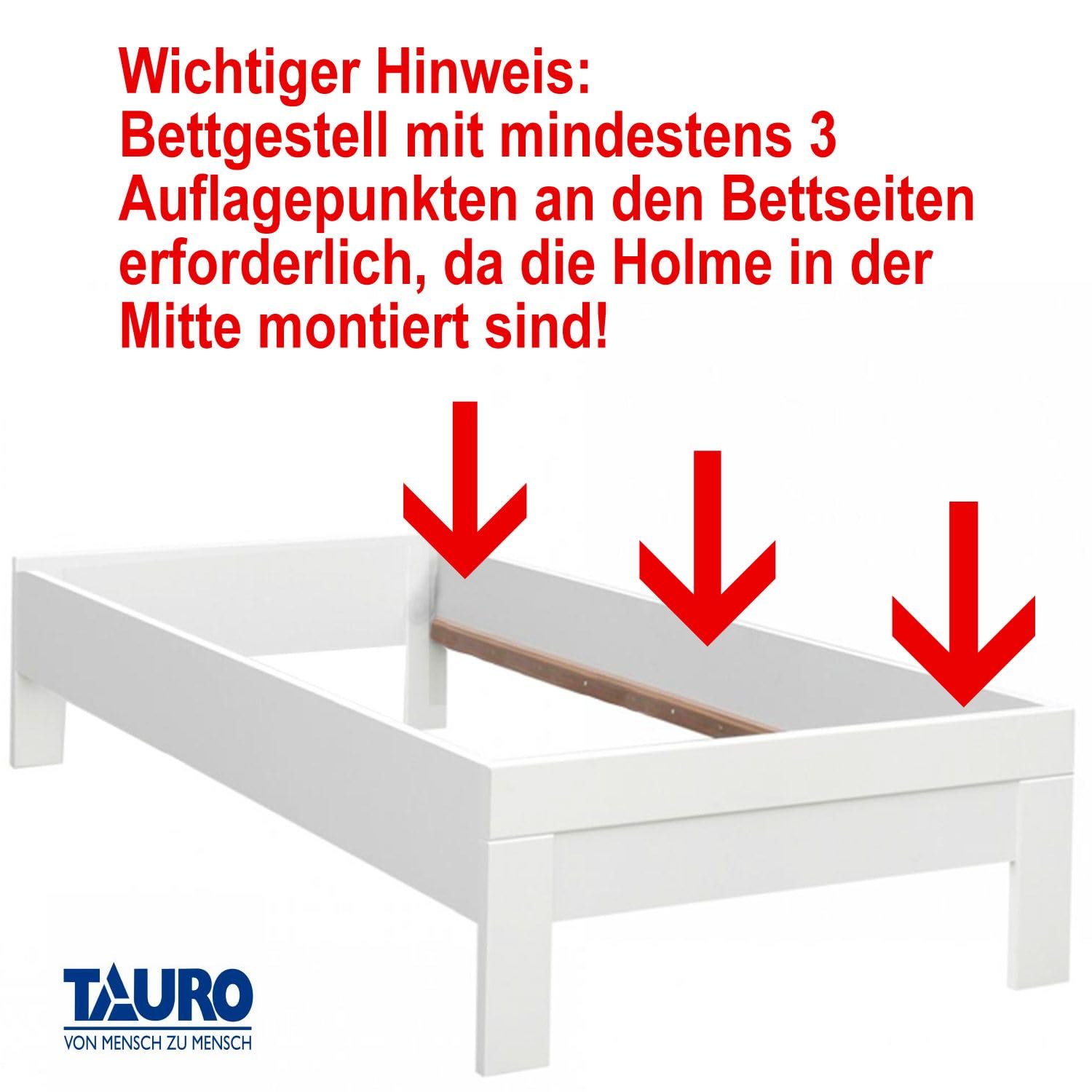 TAURO Pro FB180, 7-Zonen Lattenrost, Kopfteil verstellbar, für Liegefläche 90 x 200 cm (22914)