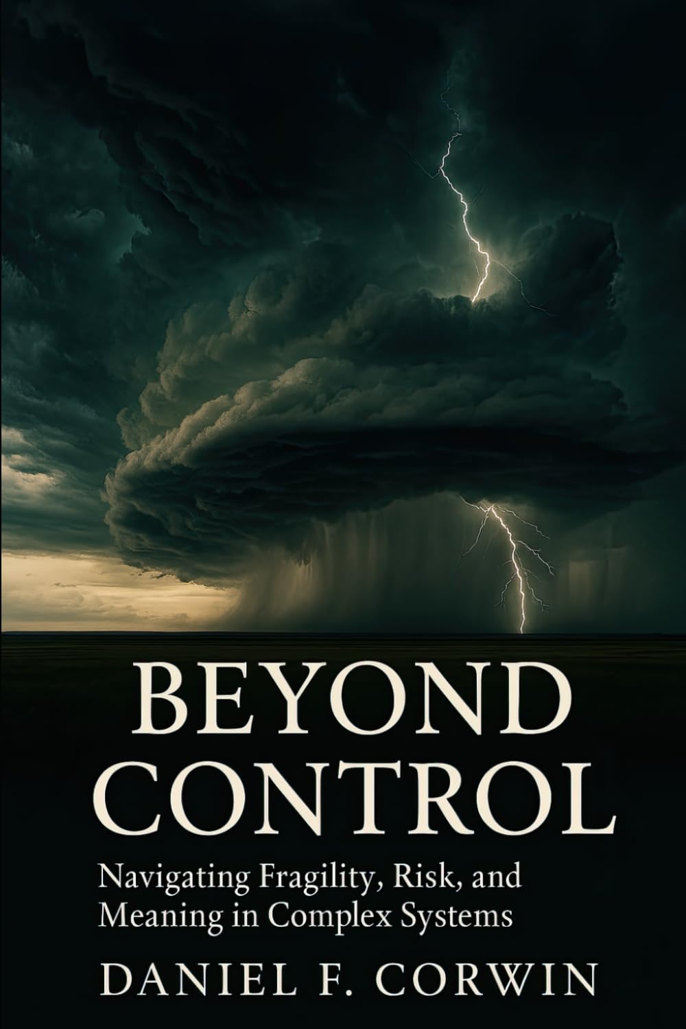 Beyond Control: Fragility, Risk, and Meaning in a Complex World