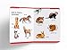 My First Padded Book of Animals: Early Learning Padded Board Books for Children