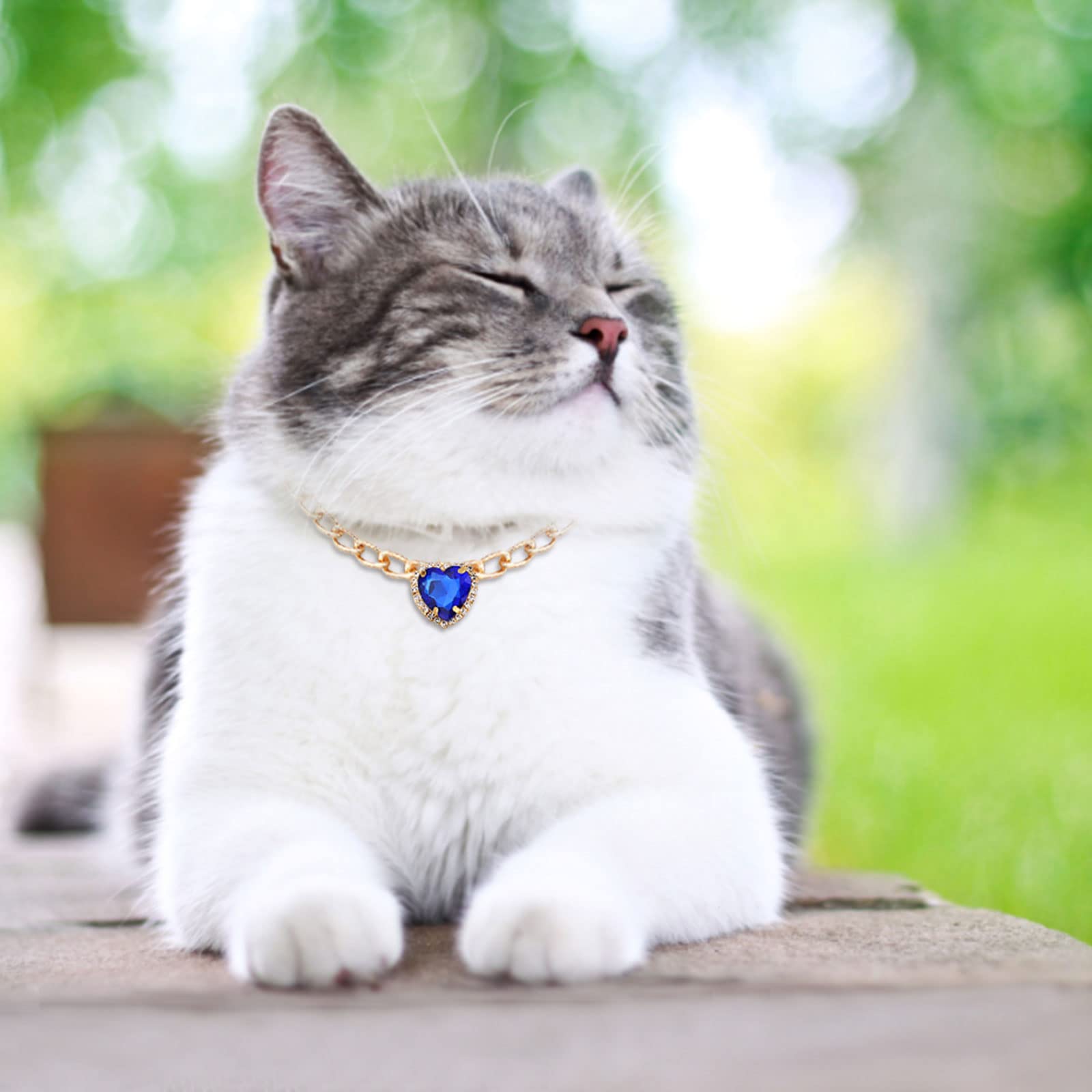 HACRAHO Dog Necklace Collar - Image 4