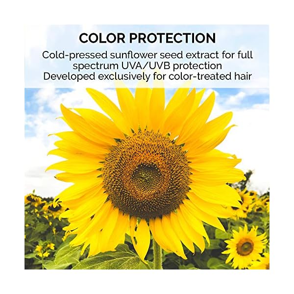 Colorproof Colorproof Superrich Moisture Conditioner, 25.4 Fl Oz (Pack of 1)