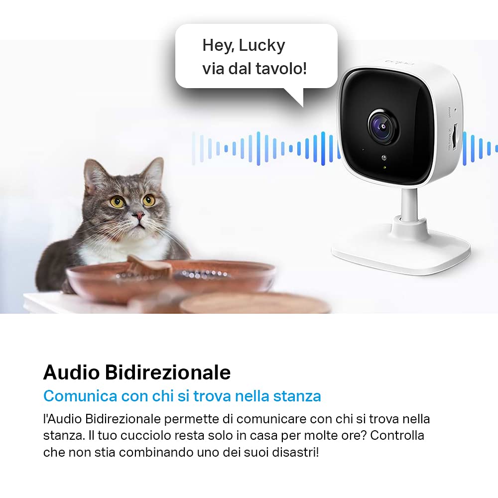 Tapo C100 Telecamera Wi-Fi Interno FHD Visione Notturna Audio Bidirezionale Movimento MicroSD 512GB