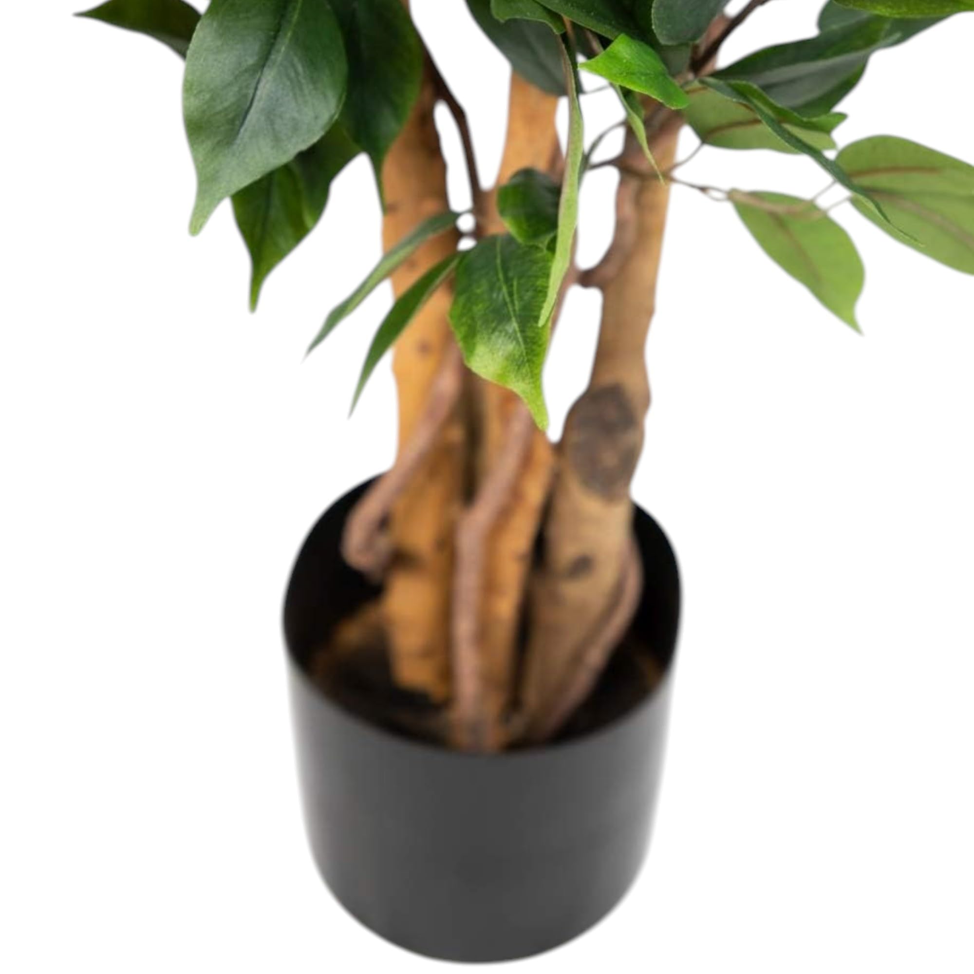 Ficus Nitida 180cm Grün LA Kunstbaum, Dekobaum Kunstpflanzen künstlicher Baum Pflanzen Kunstficus, Home Deko künstliche Pflanze, Deco Dekoration für Wohnzimmer Büro Badezimmer Schlafzimmer