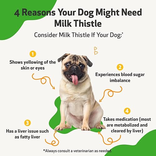 Miniatura 9 de Pet Wellbeing Kit de cuidado de Cushing para perros, formulado por veterinarios, para Cushing, apoyo suprarrenal, equilibrio de cortisol