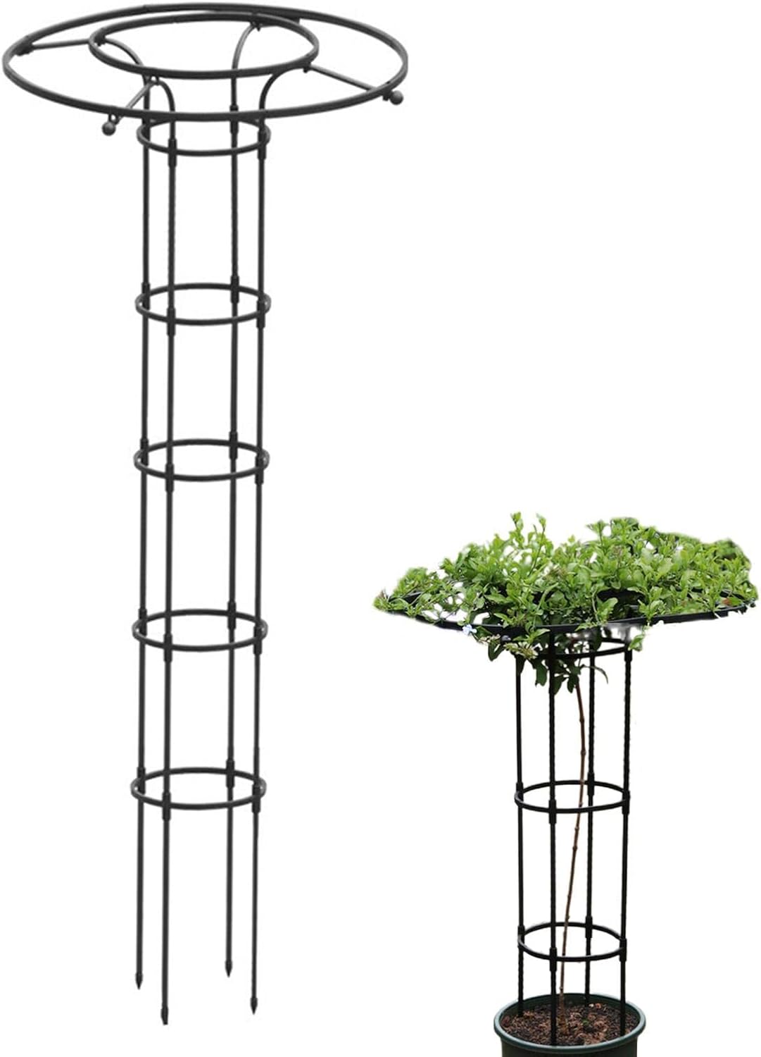 Umbrella Plant Trellis, Garden Obelisk Trellis for Climbing Plants