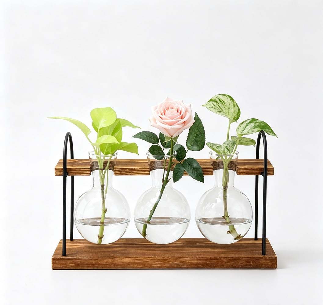 3-Ball Glass Plant Propagation Station, Hydroponic Wooden Stand Bud Vase
