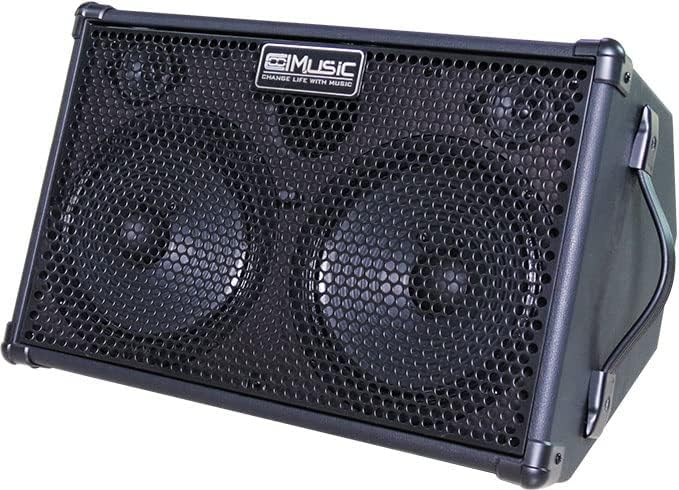 Coolmusic BP60D 60W*2 Battery Powered Acoustic Guitar Amplifier ...