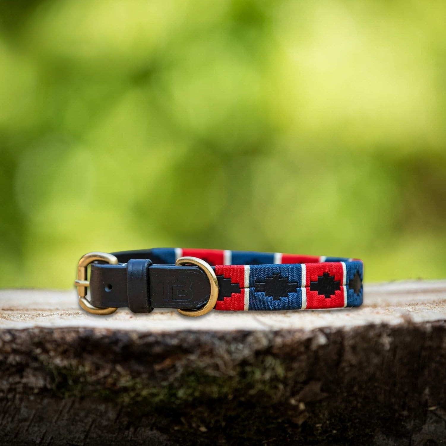 Luxury Leather Dog Collar in Polo-Style - Adjustable And Handmade From Premium Leather - Strong Buckles - XS to XL - MTB Equestrian (Red White Blue, M)