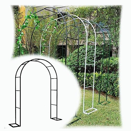 Arche de Jardin robuste et durable contre l'affaissement des plantes