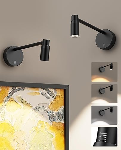 PESUTEN Luz de imagen con zoom para pared, funciona con pilas, luz de arte para pinturas, foco regulable CCT para arte de pared, luz de pared