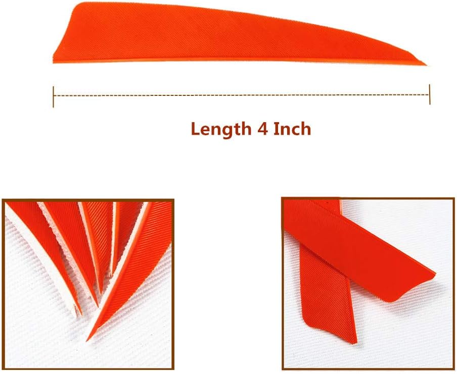 Archery Fletchings Real Turkey Shield Feathers 4 inch Full Length 50 Pack Glued Right Wing for Arrows DIY