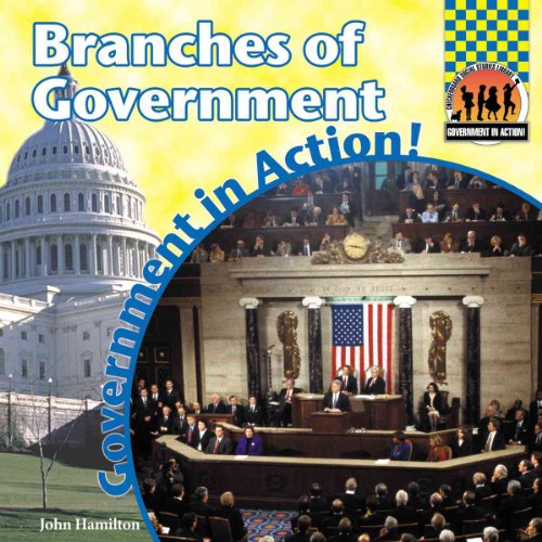 Branches of Government (Government in Action!)