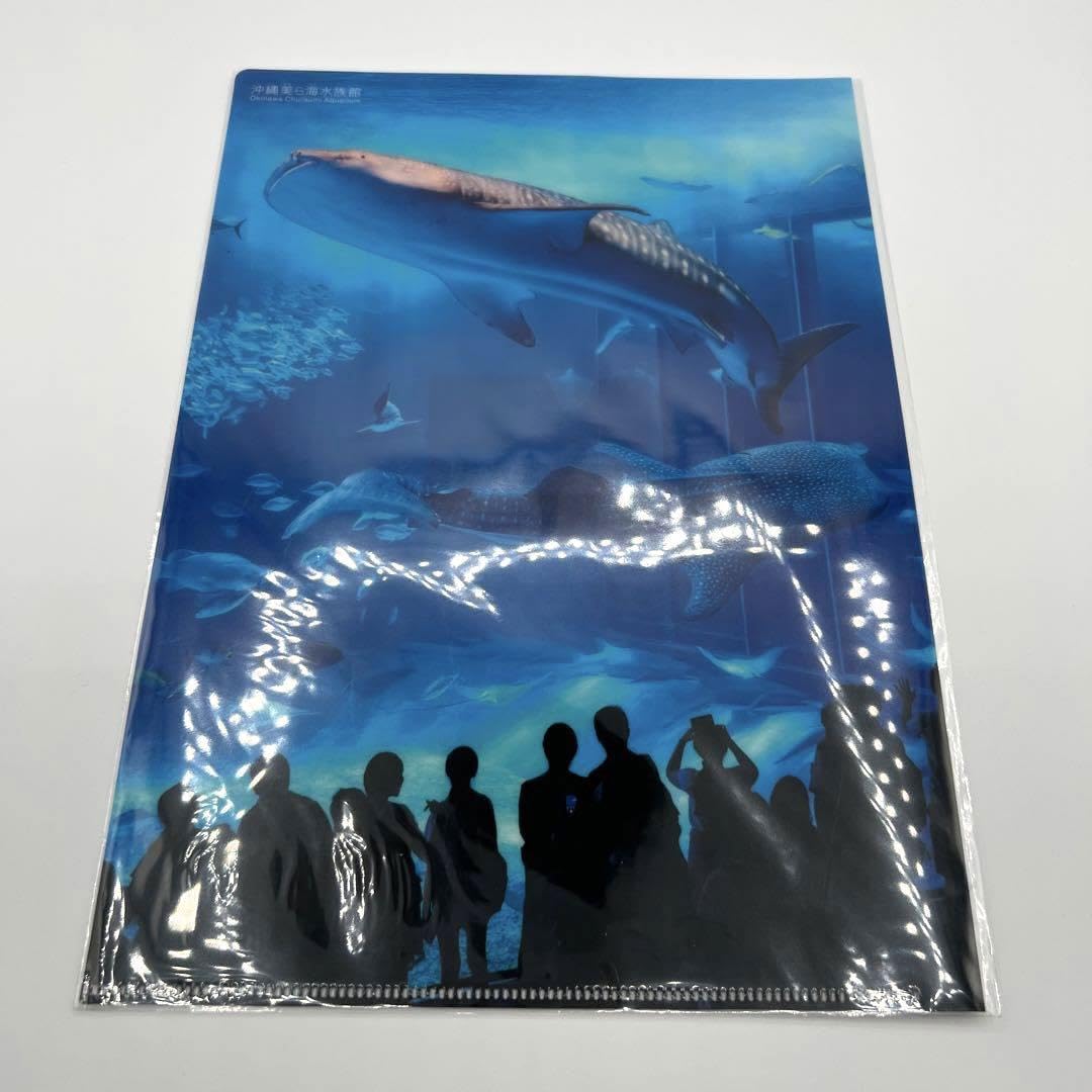 Amazon.co.jp: 美ら海水族館 クリアファイル 沖縄 ポストカード お土産