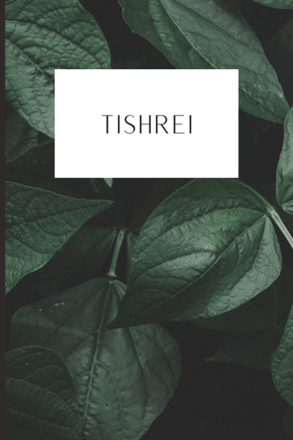 Hebrew Month Prayer Journal: Tishrei: Paperback, 120 Pages (Hebrew Month Prayer Journal: Spiritual Growth Series (Set of 12 Journals))