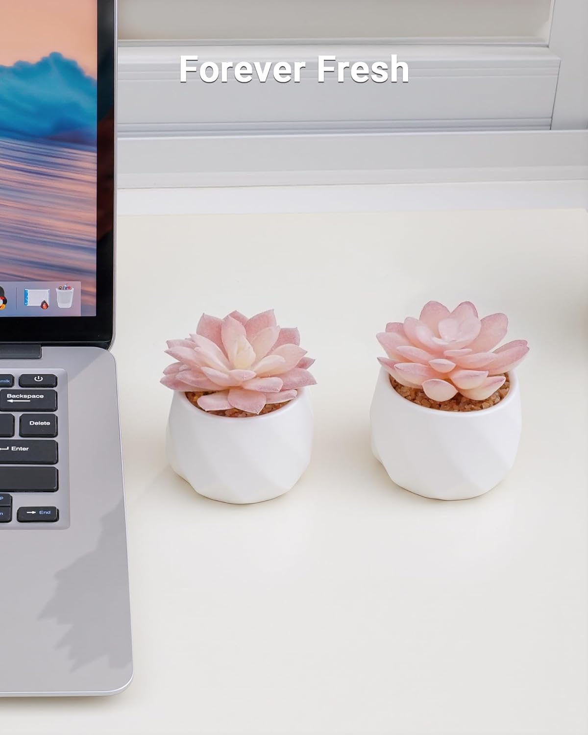 VIVERIE Mini Succulents Plants Artificial in Pots-Rose Pink, Christmas Small Fake Succulents Plants for Home Decor Indoor for Women, White Ceramic Faux Succulents, Set of 2, Gifts for Mom