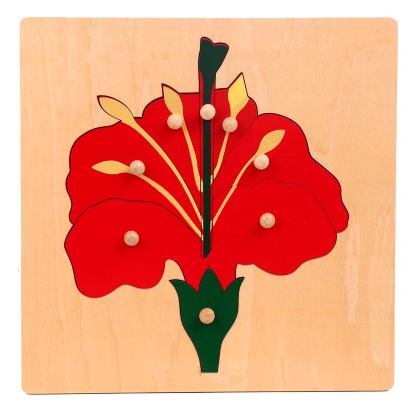 Juego de Rompecabezas de Paneles de Madera de Plantas Montessori, Rompecabezas de educación Infantil (3 Piezas)