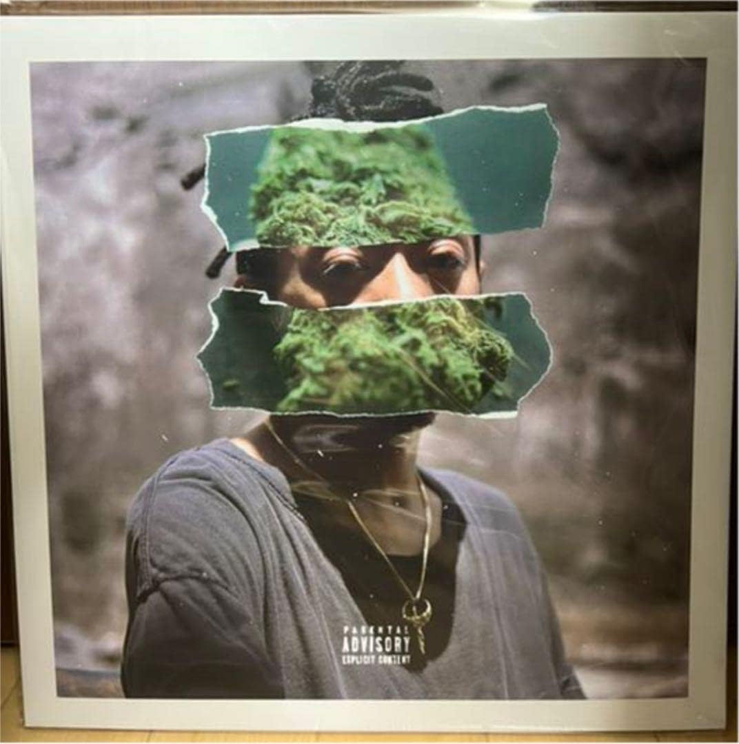 RudeBwoy Face - JAM DOWN LP レコード