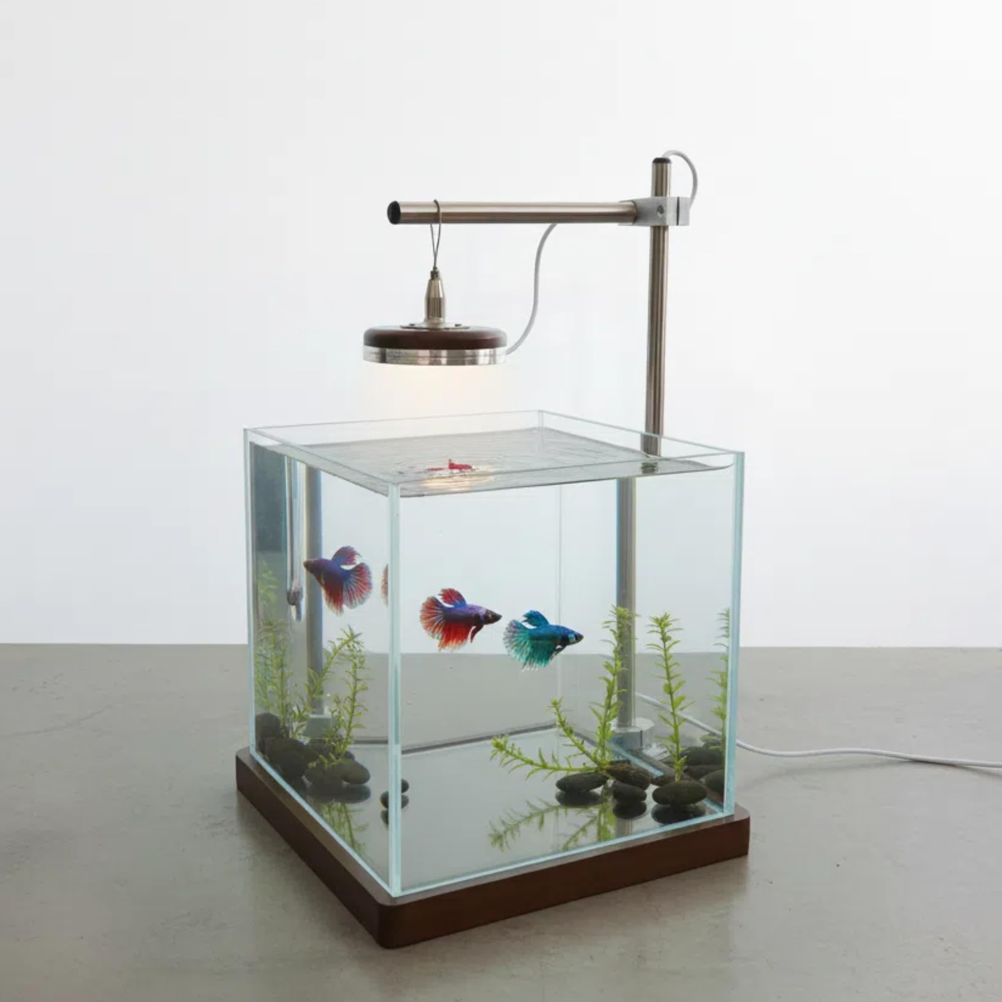 Petit aquarium Betta avec lumière LED et support en bois – Kit de démarrage pour aquarium Betta de 20,3 cm – Comprend un outil de nettoyage, un chiffon et un tapis pour bureau, chambre à coucher