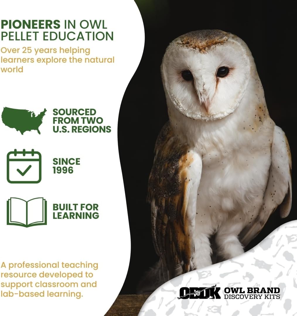 Barn Owl Pellets Classroom 20 Pack (Medium) – Dissection Kit for Ecology & STEM – Includes Forceps, Picks & Teacher Guide – Hands-On Science Activity