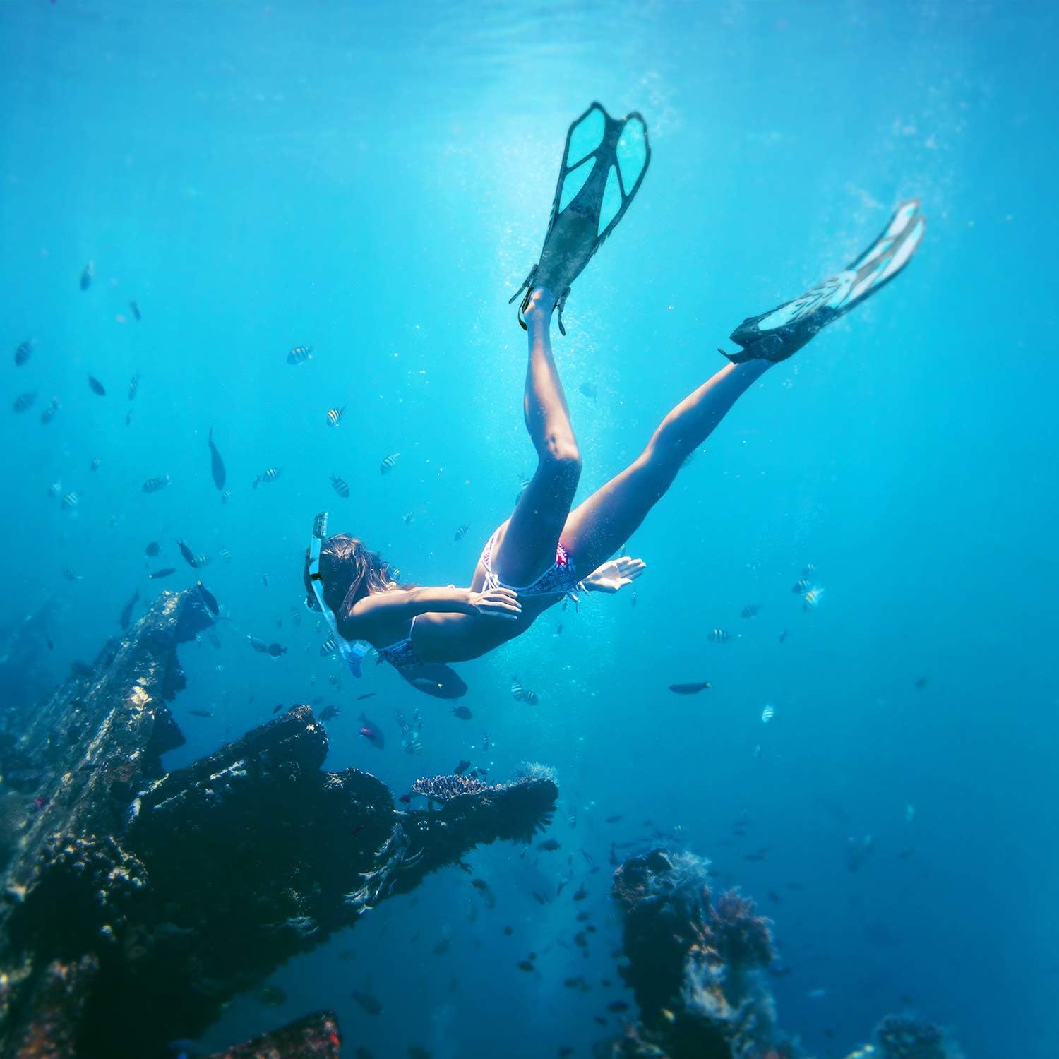 ZEEPORTE Mask Fin Snorkel Set with Adult Snorkeling Gear, Panoramic View Diving Mask, Trek Fin, Dry Top Snorkel +Travel Bags, Snorkel for Lap Swimming : Sports & Outdoors