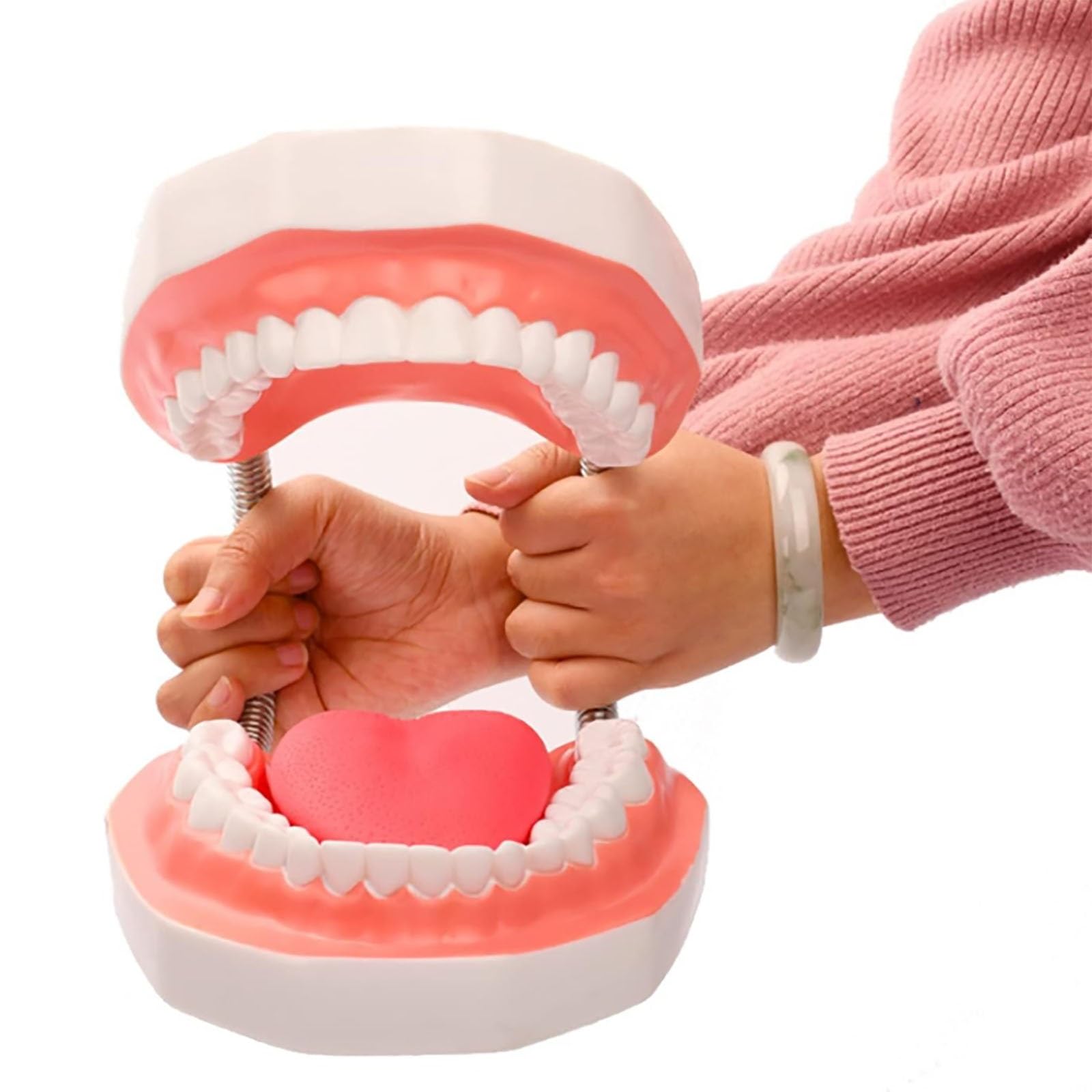 Monvkaka One Color Standard Teeth Model, 6 Times Enlarge Dental Teeth Model With Detachable Tongue Brushing For Kids And Dentist Oral Care Teaching Model