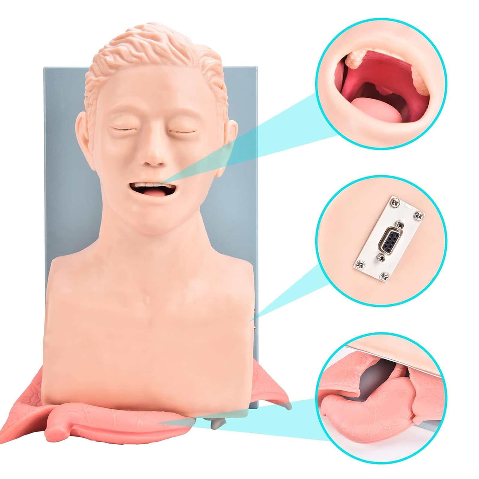 ZEQFEMKL Tracheal Intubation Simulator Manikin- Airway managment Teaching aid with endotracheal Tube, Oral/Nasal Intubation Human Model for Science lab Study