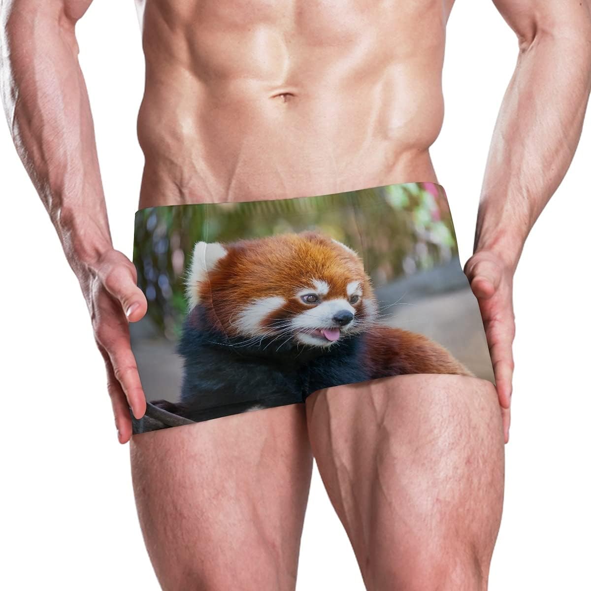 Boxer Swim Trunks Lowest Price Challenge For Men Red Bath Panda At Swimwear Swimsui Zoo