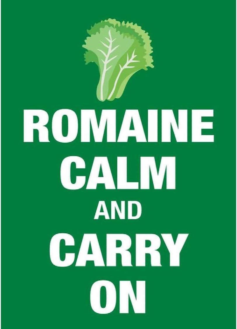 Signs 4 Fun Magnet – Romaine Calm Funny Magnet - 3.5” x 2.5” Easy Remove Fridge Locker Magnet - Magnet for Gifts Decor - Made in USA