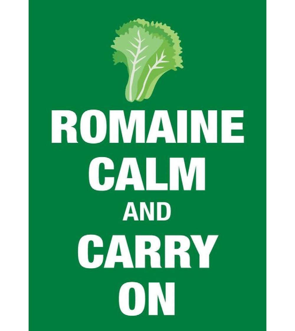 Signs 4 Fun MGRC Romaine Calm Magnet, Green