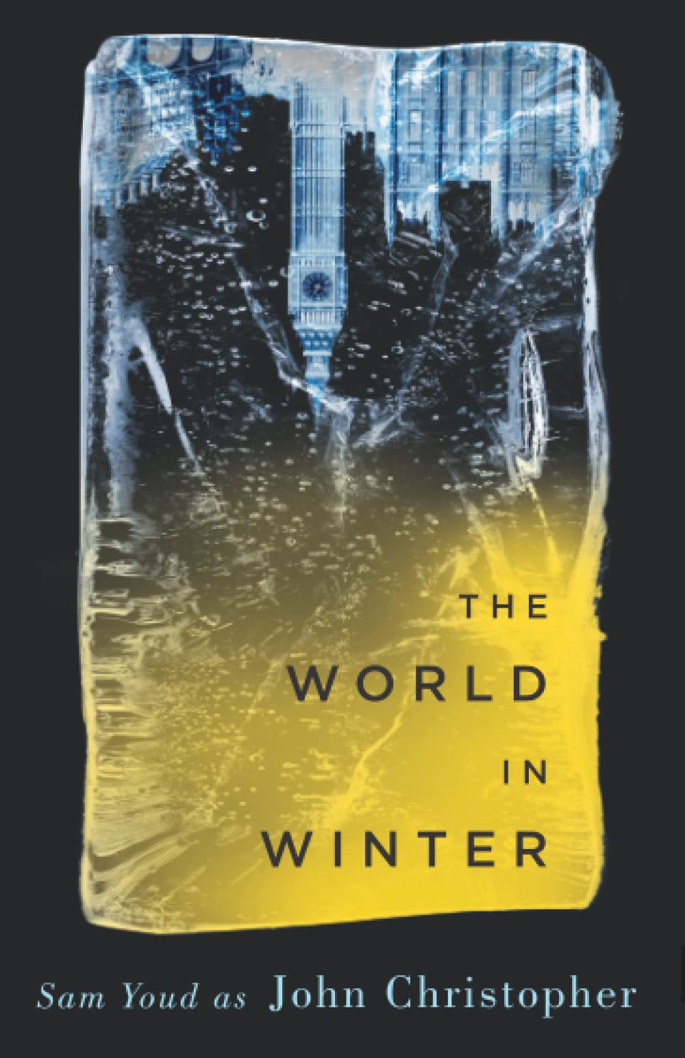 The World in winter