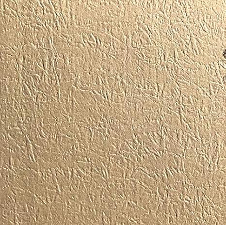 Amazon 紙壁紙 わがみ 006 利休白茶 サンプル 壁紙