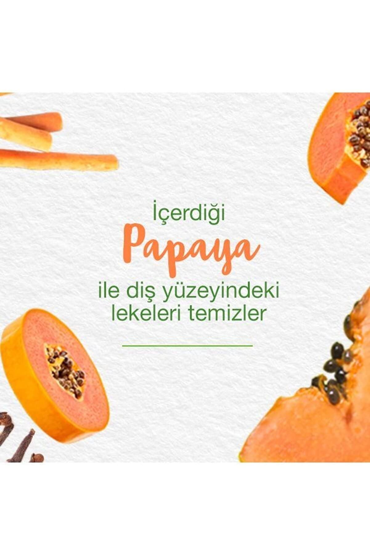 Himalaya Leke Karşıtı Bitkisel Diş Macunu, Florürsüz, Parabensiz, Vejeteryan, Leke Çıkartıcı, Bitkisel Enzim Teknolojisi, 75 ml