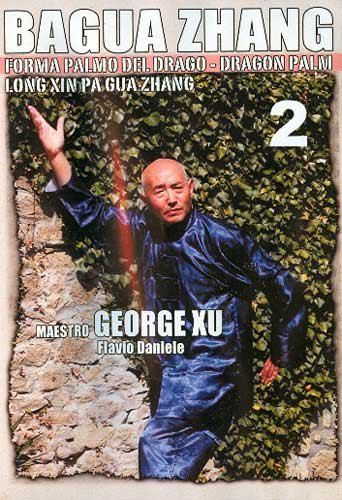 Bagua Zhang Dragon Palm #2 DVD Xu -VD7137A